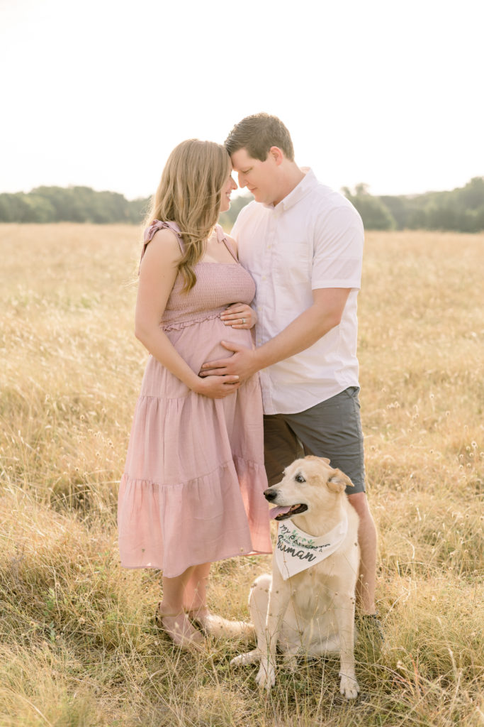 mom and dad posing with their dog with their hands on baby bump posing in a field at erwin park mckinney for their maternity portraits